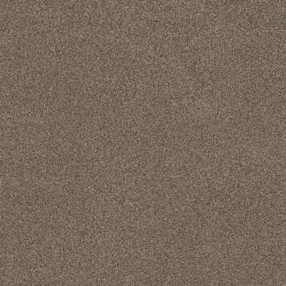 TEXTURE BCF