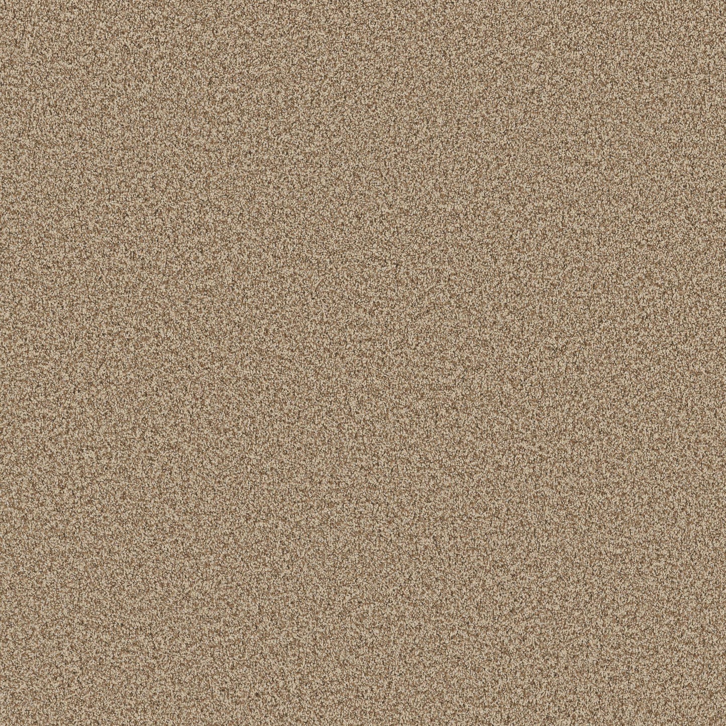 TEXTURE BCF