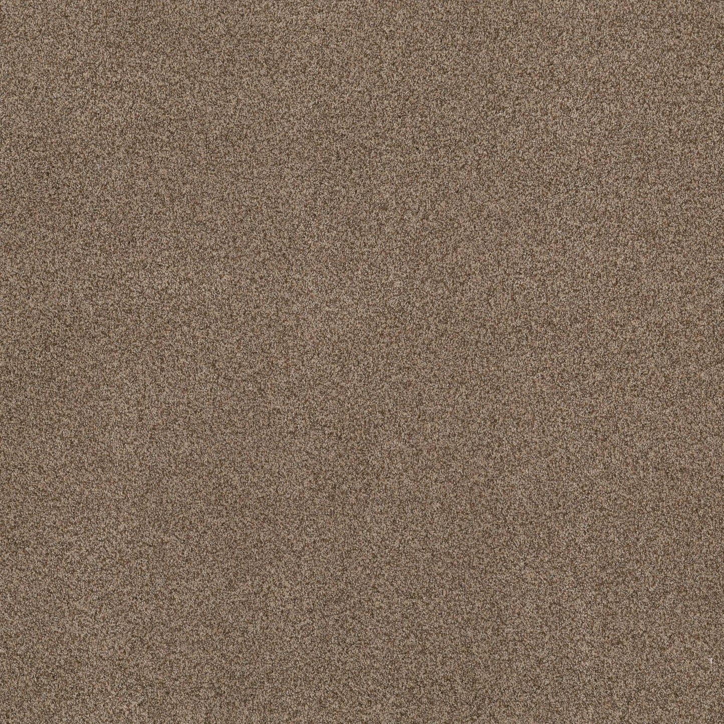 TEXTURE BCF