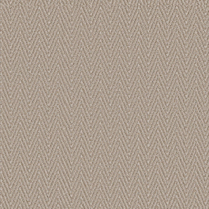 CUT UNCUT  R