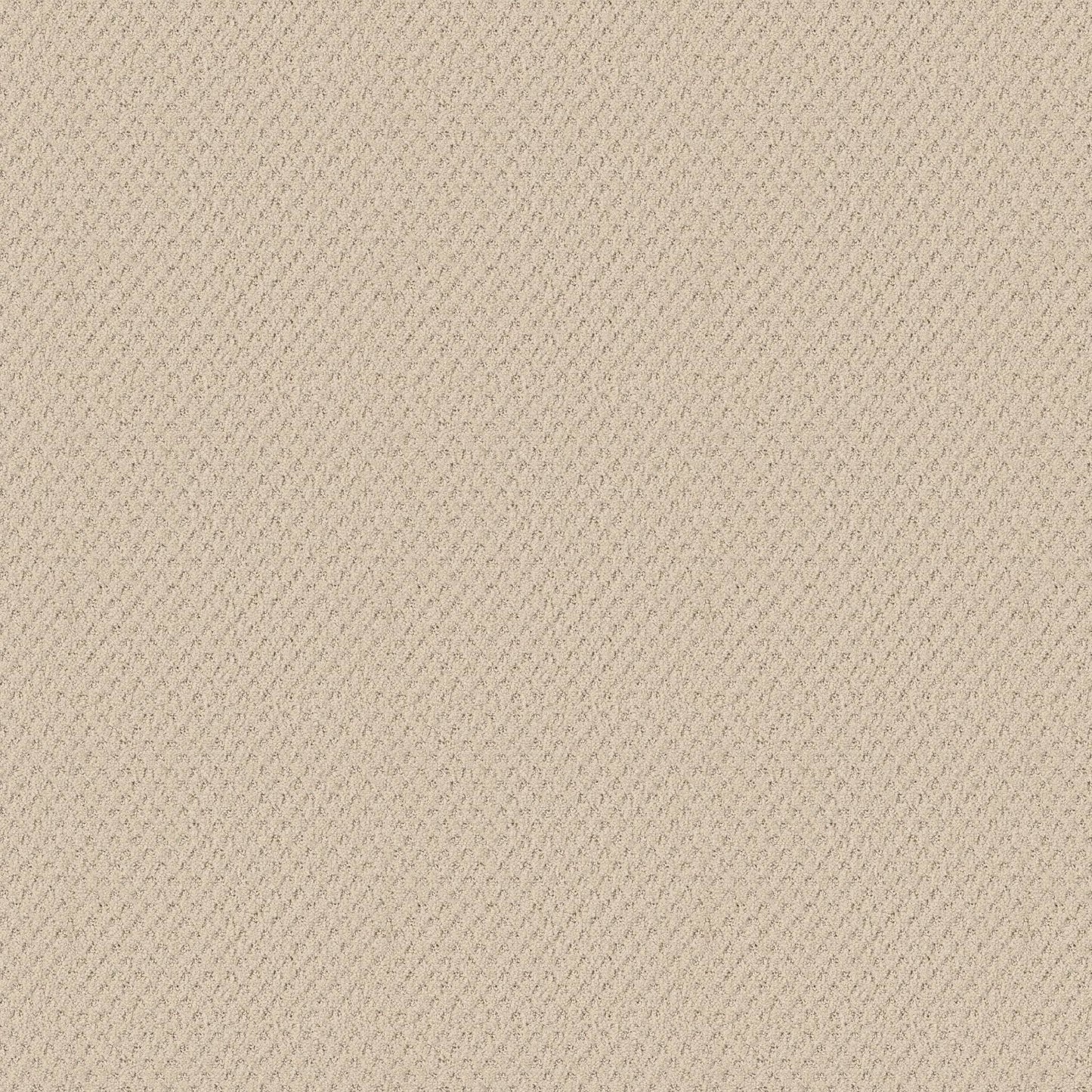 CUT UNCUT  R