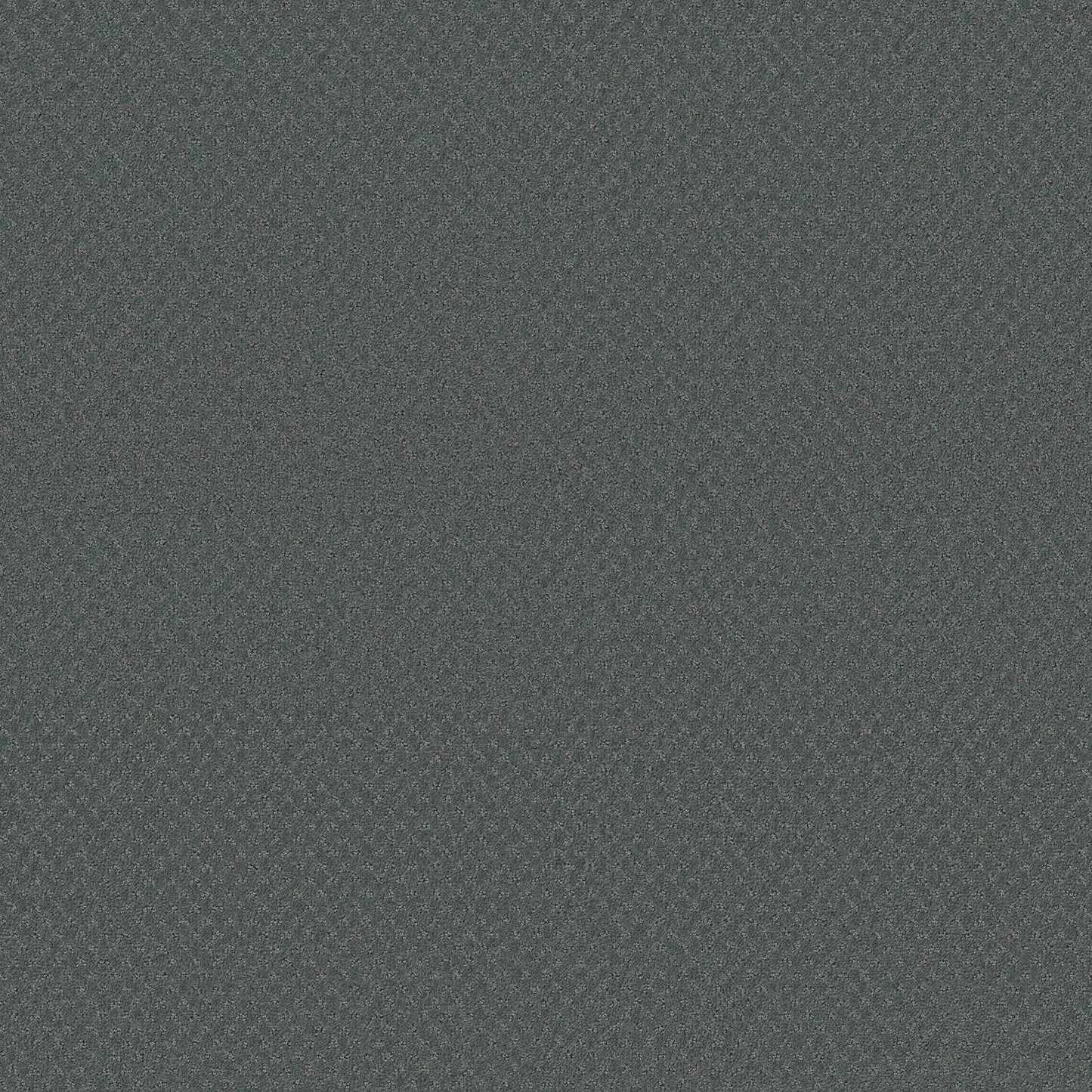 CUT UNCUT  R