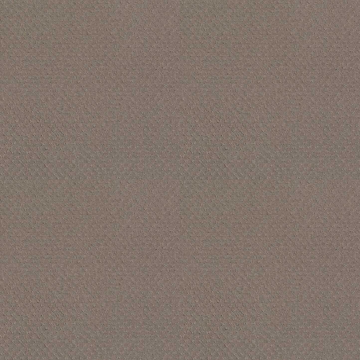 CUT UNCUT  R