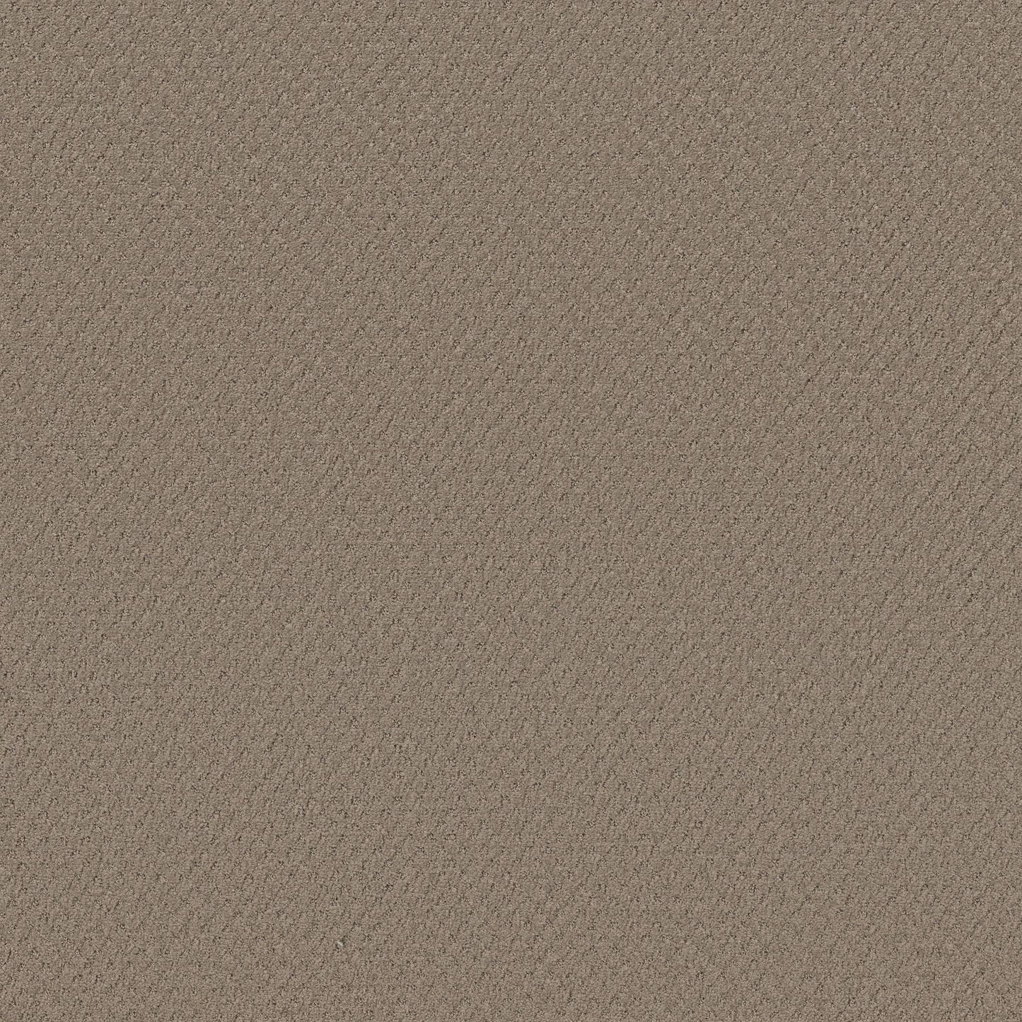 CUT UNCUT  R