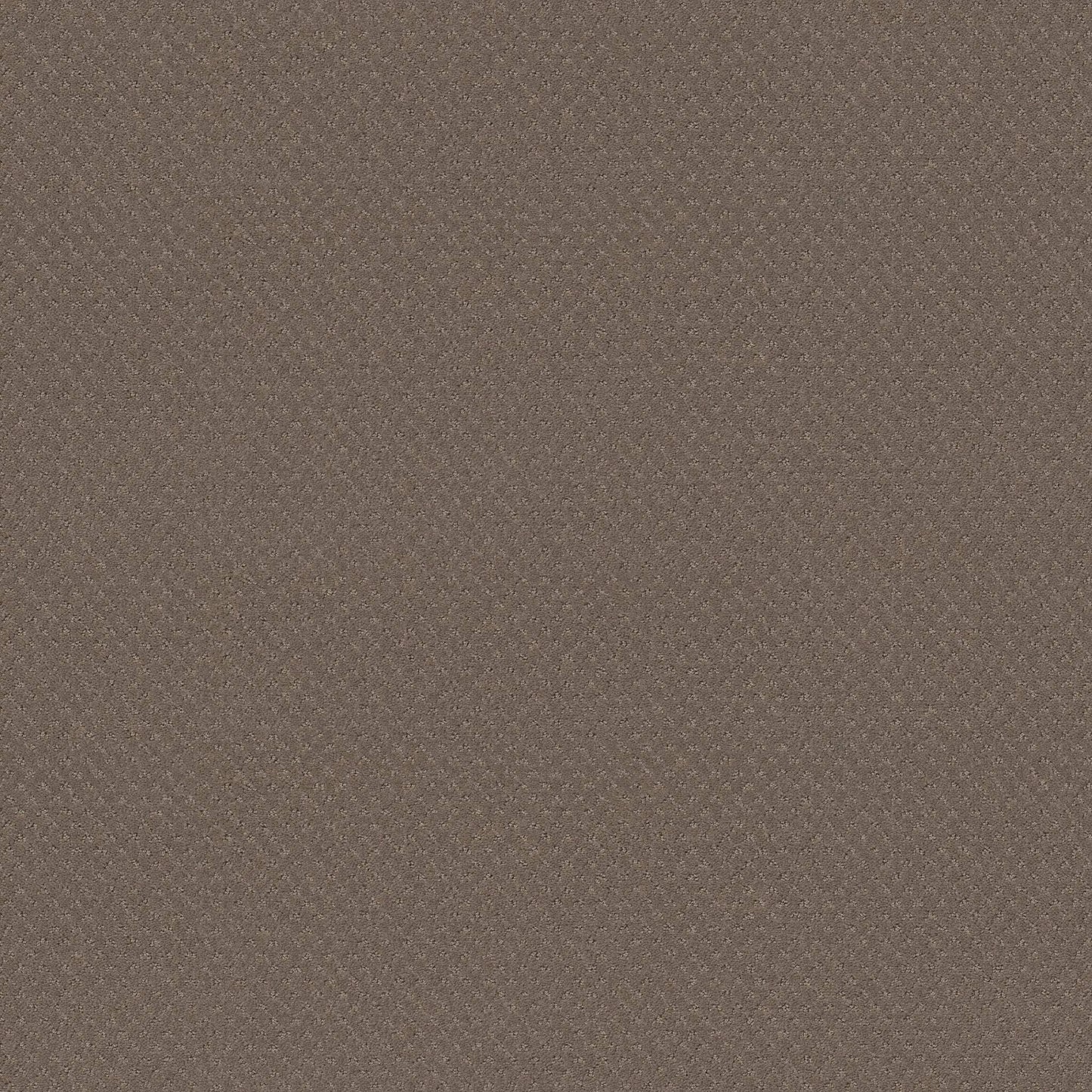 CUT UNCUT  R