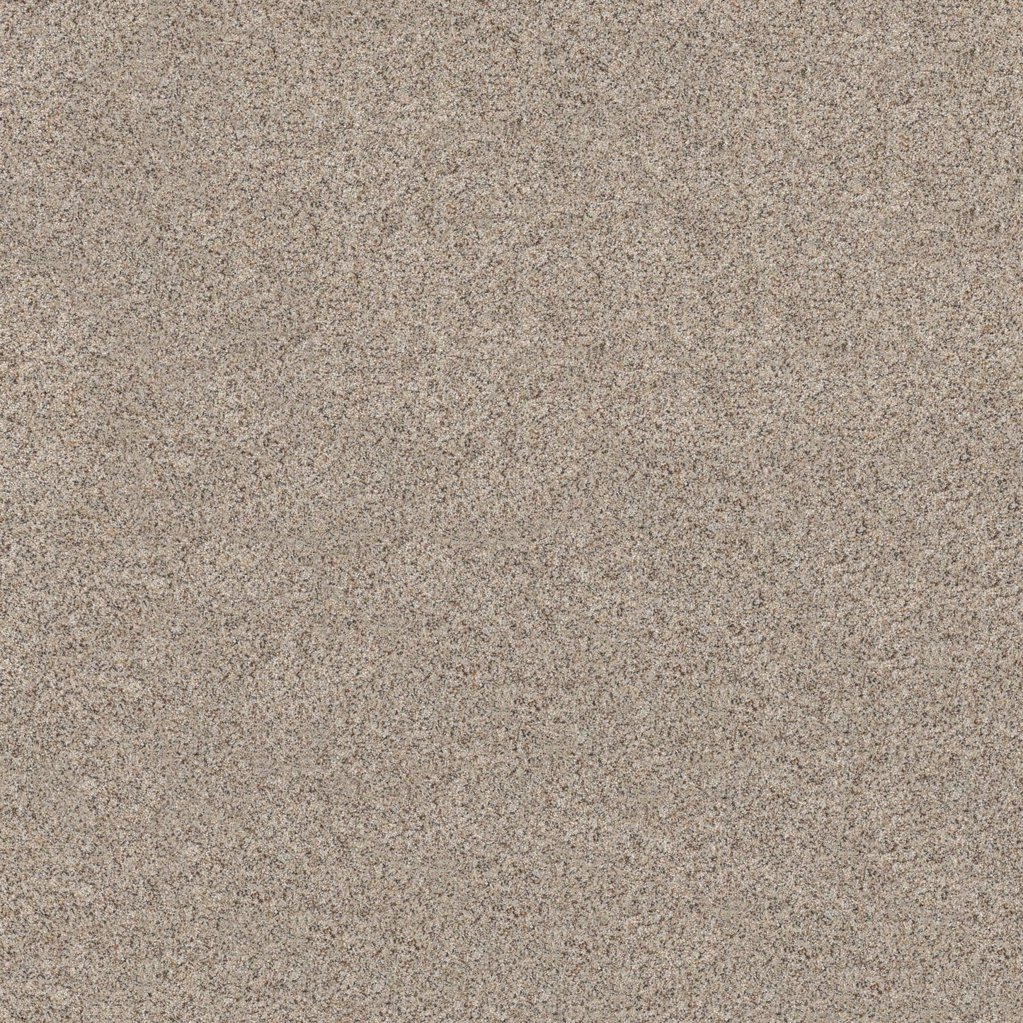 BERBER CUT PILE