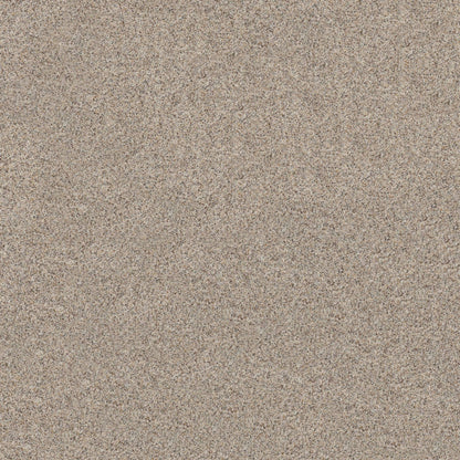 BERBER CUT PILE
