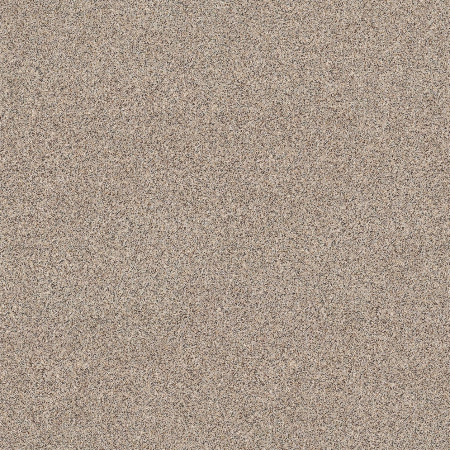 BERBER CUT PILE