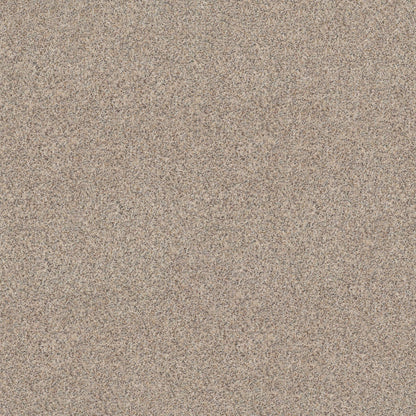 BERBER CUT PILE