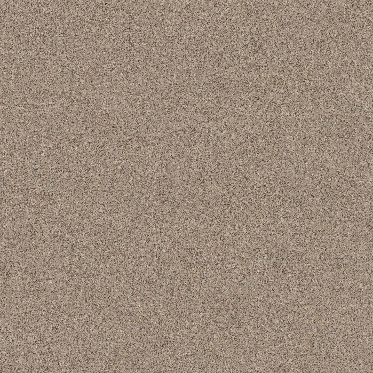 BERBER CUT PILE