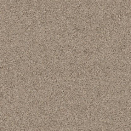 BERBER CUT PILE