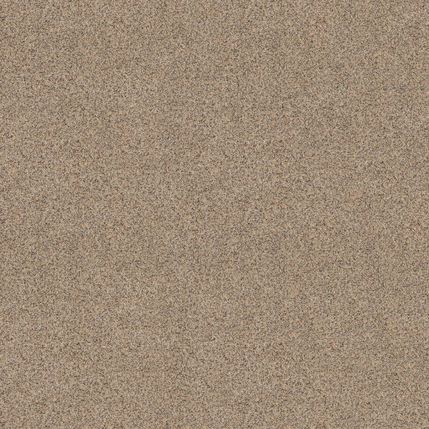 BERBER CUT PILE