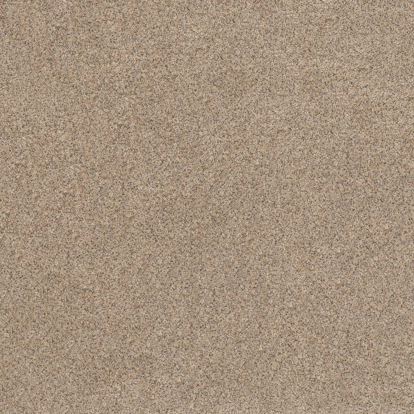 BERBER CUT PILE