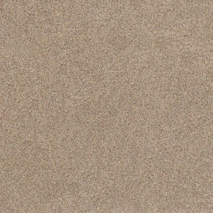 BERBER CUT PILE