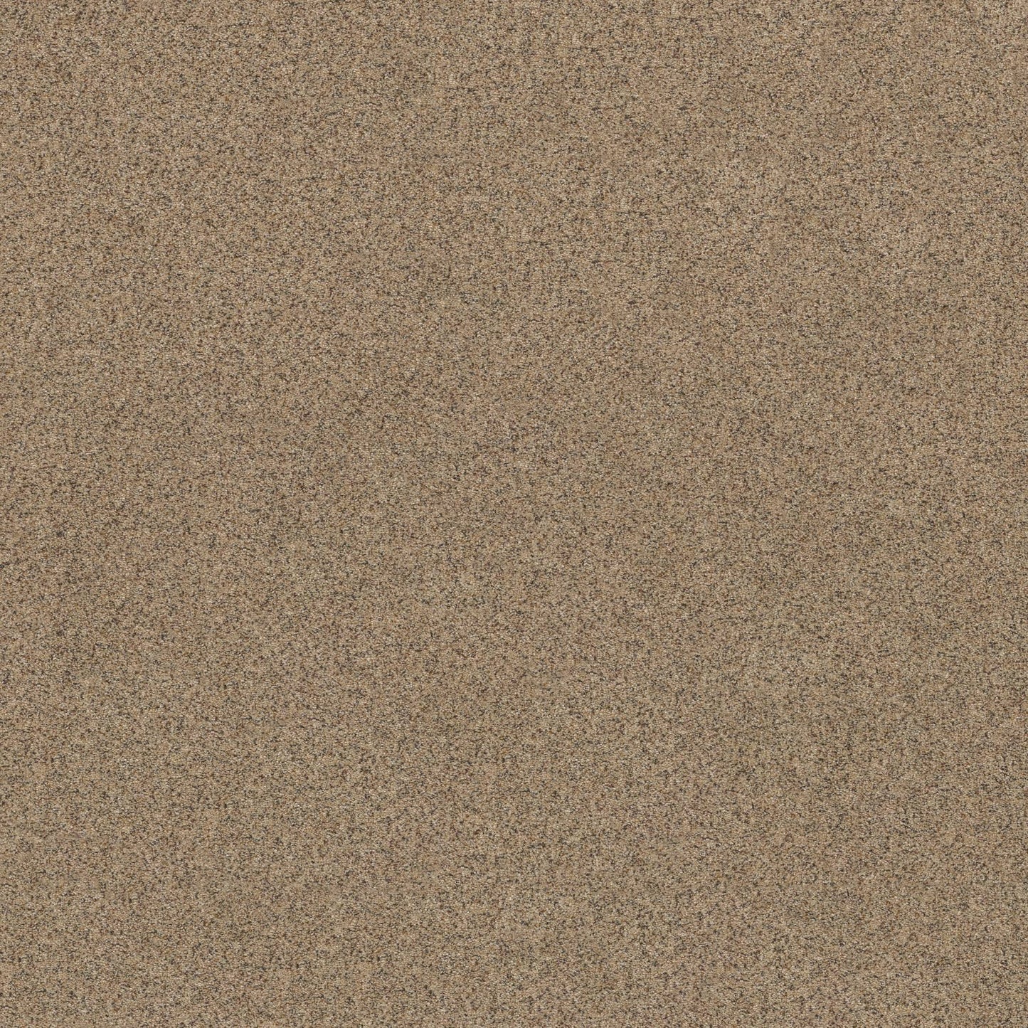 BERBER CUT PILE