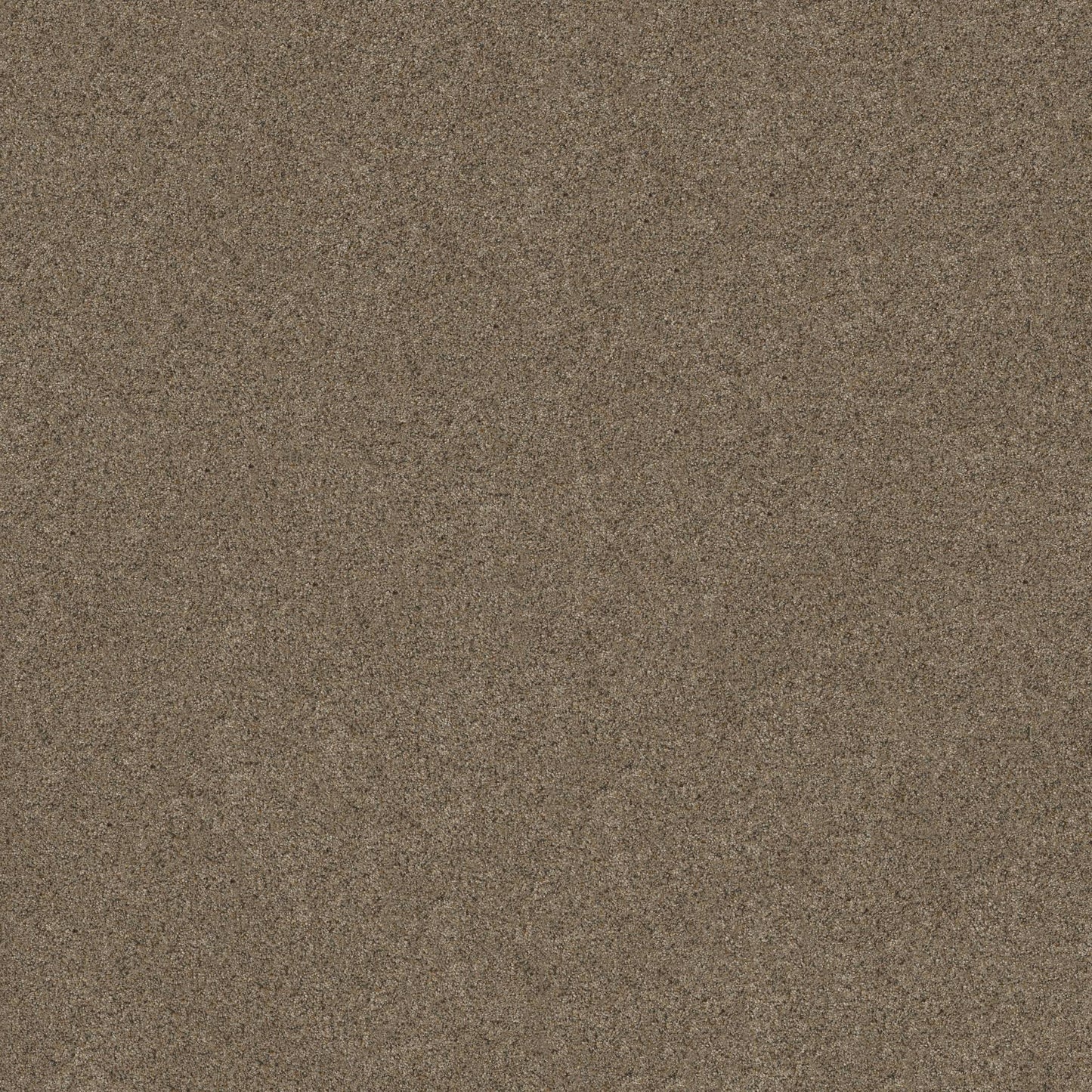 BERBER CUT PILE