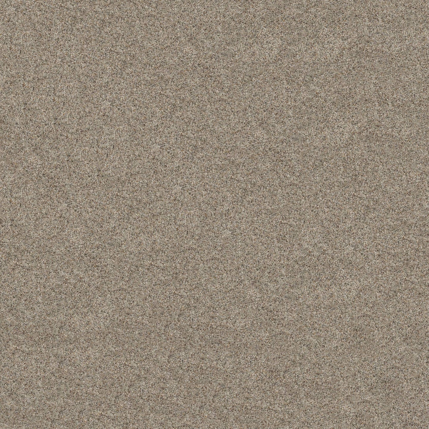 BERBER CUT PILE
