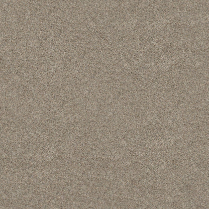 BERBER CUT PILE