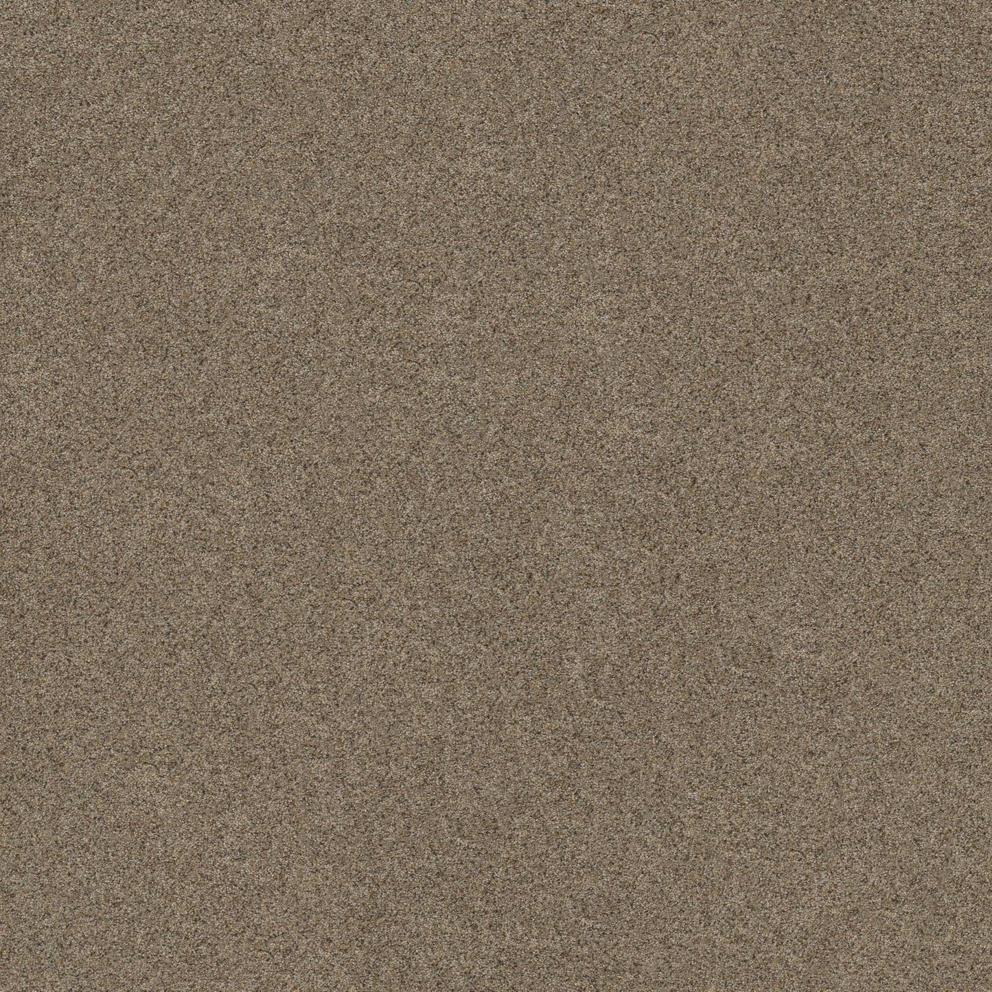 BERBER CUT PILE