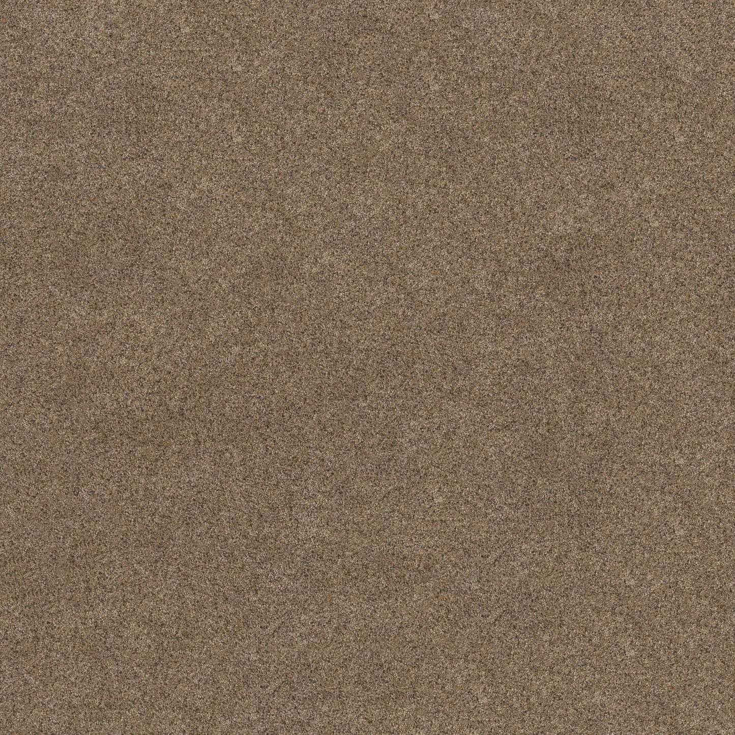 BERBER CUT PILE