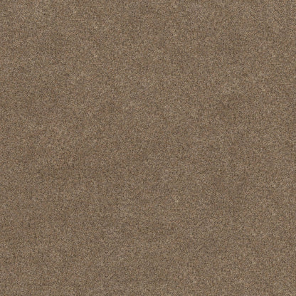 BERBER CUT PILE