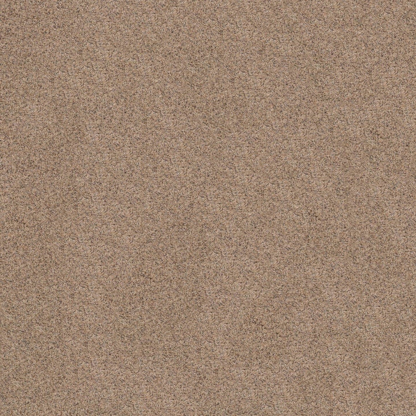 BERBER CUT PILE