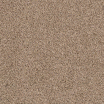 BERBER CUT PILE