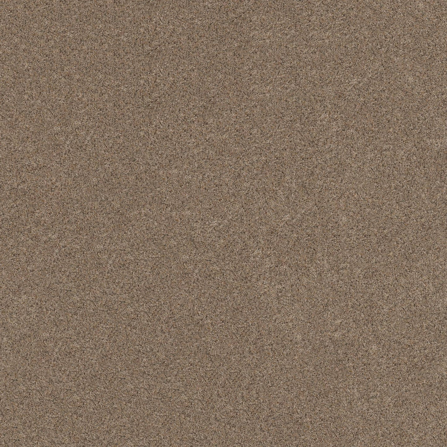 BERBER CUT PILE