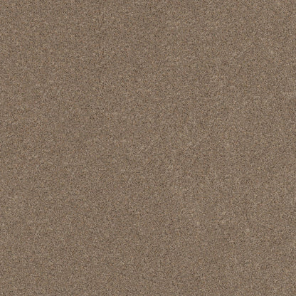 BERBER CUT PILE