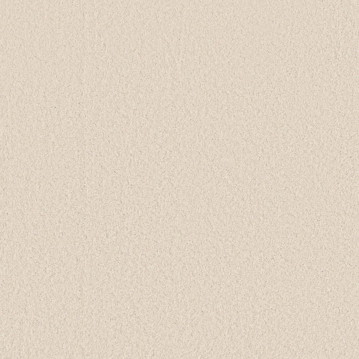 TEXTURE BCF