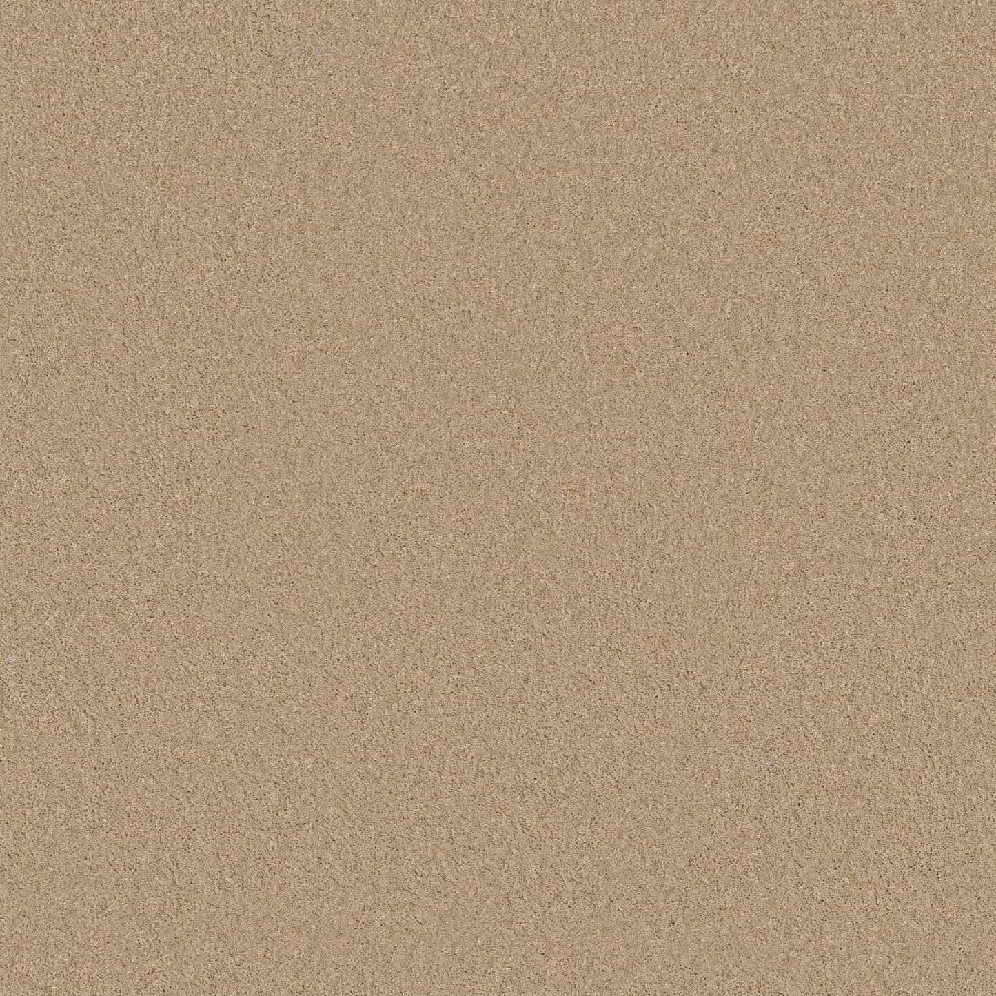 TEXTURE BCF