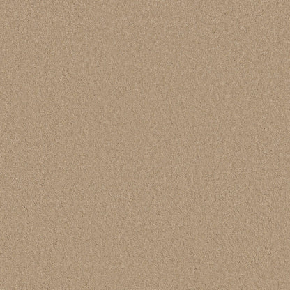 TEXTURE BCF