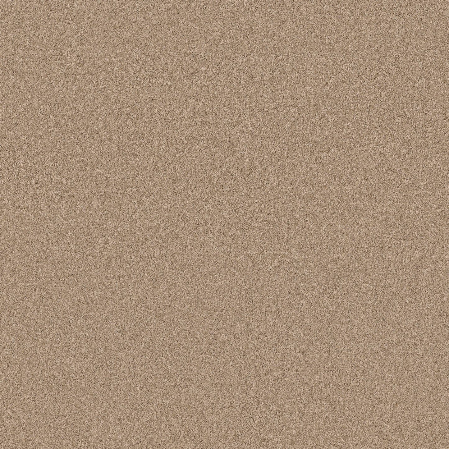 TEXTURE BCF