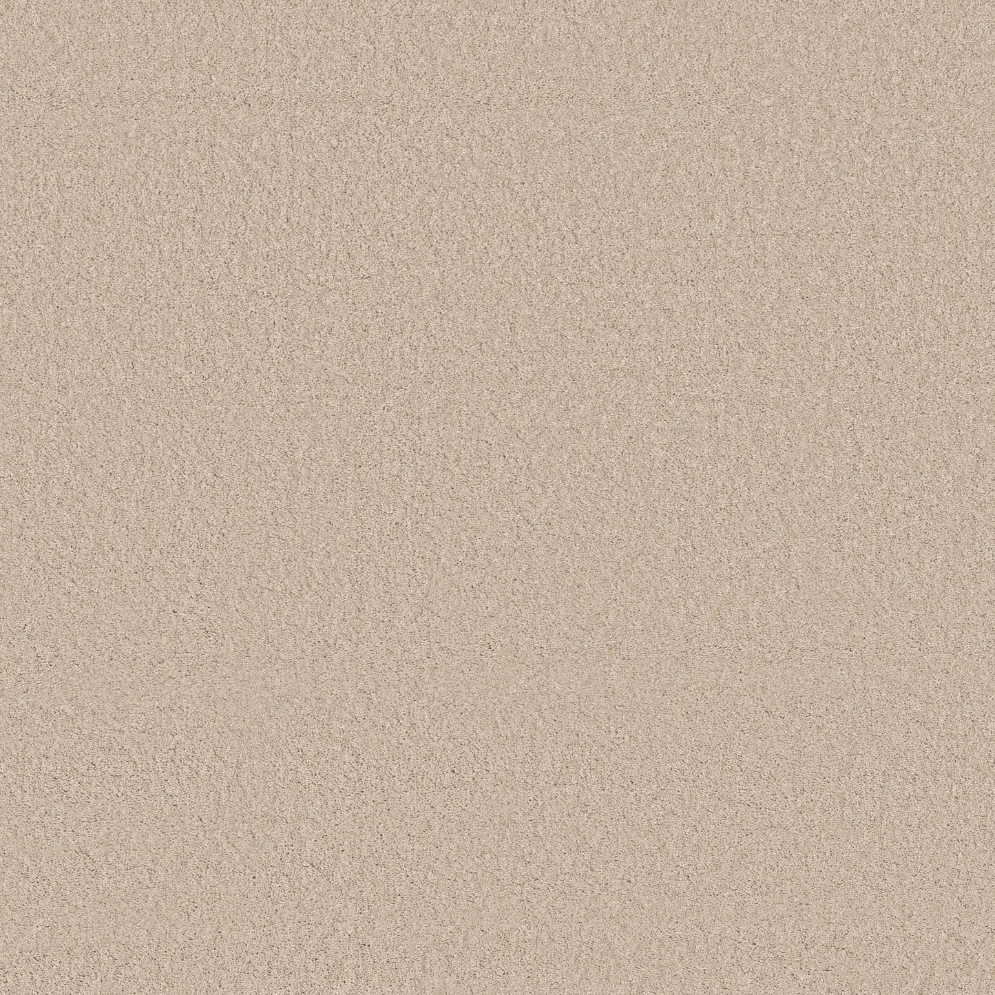 TEXTURE BCF