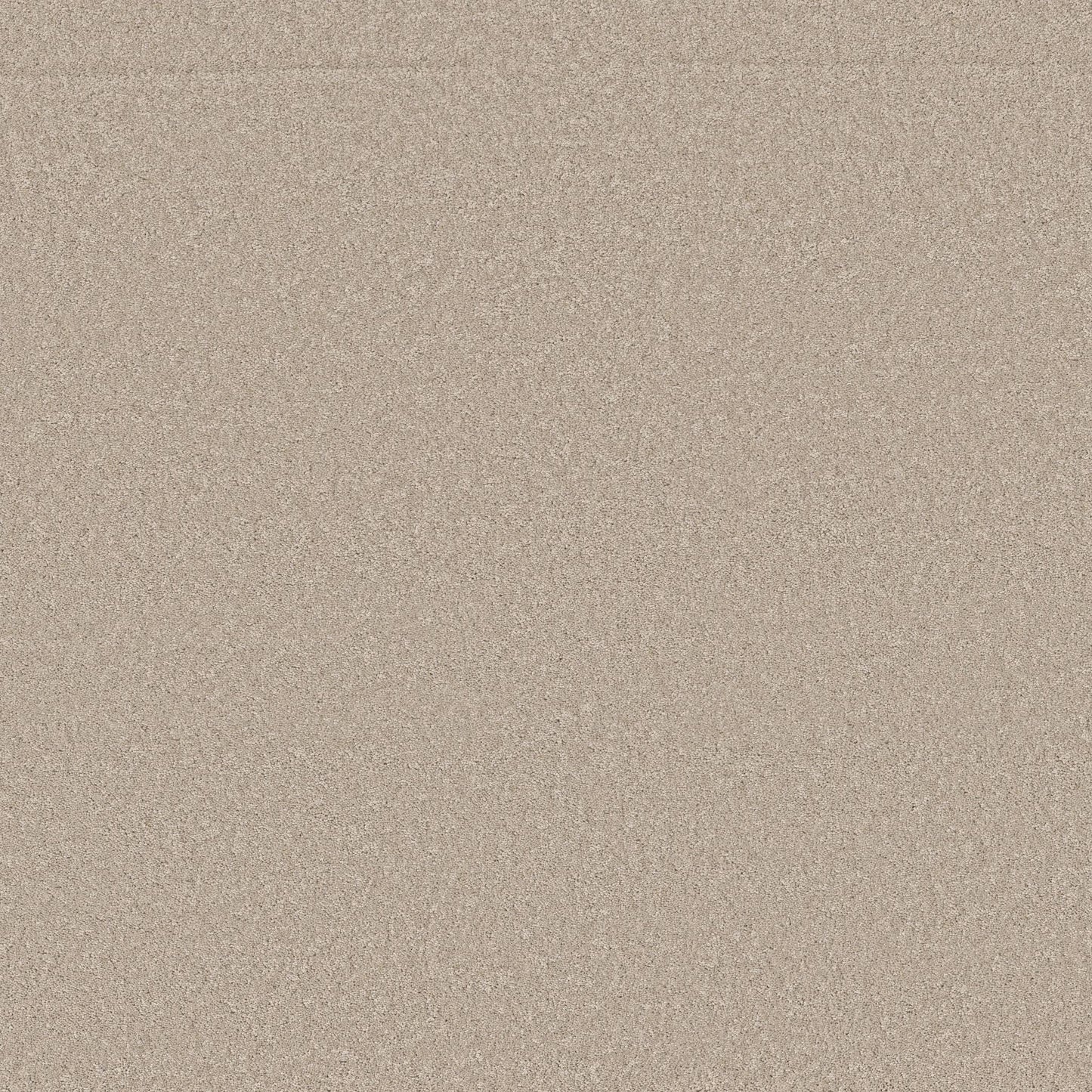 TEXTURE BCF