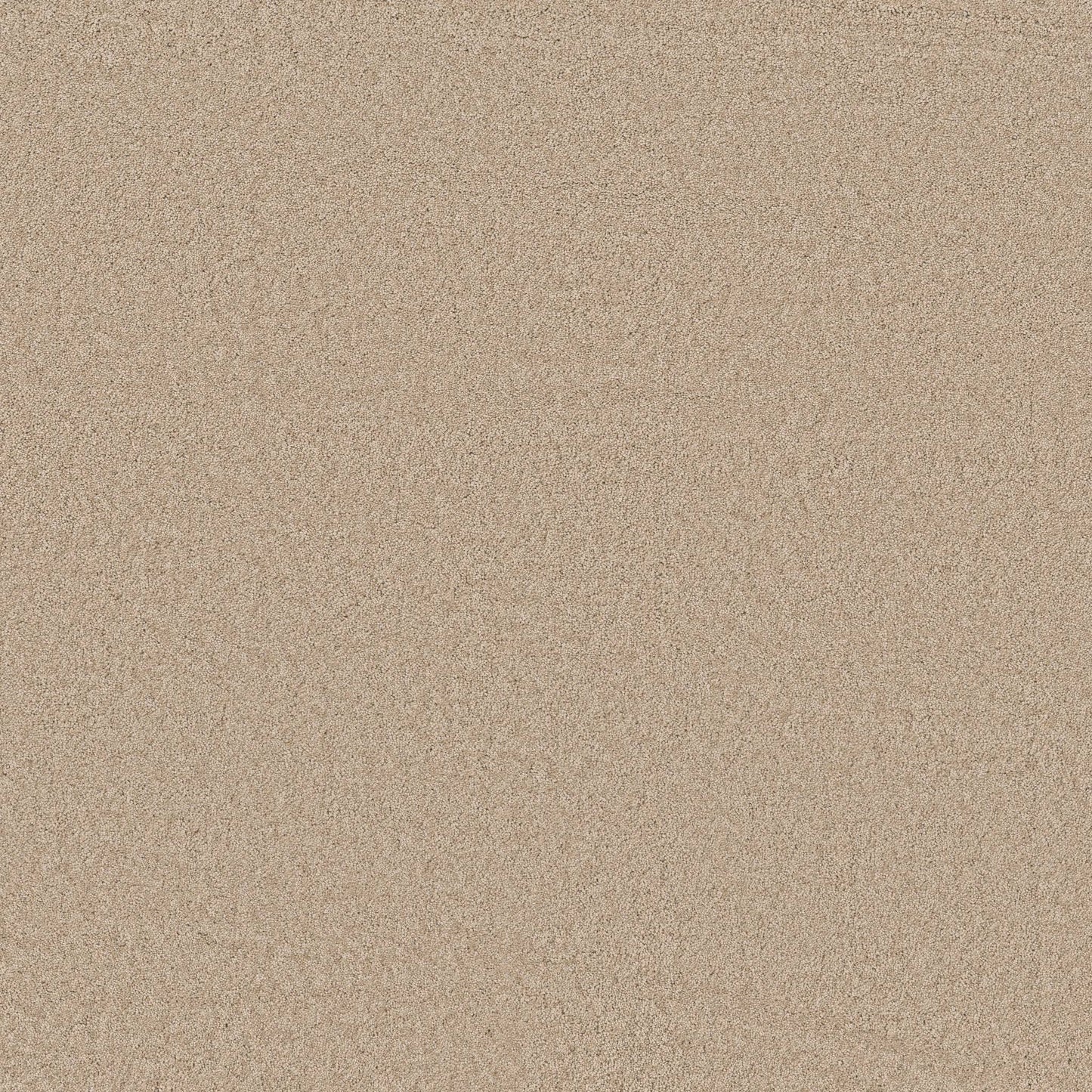TEXTURE BCF