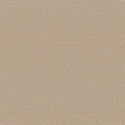 TEXTURE BCF