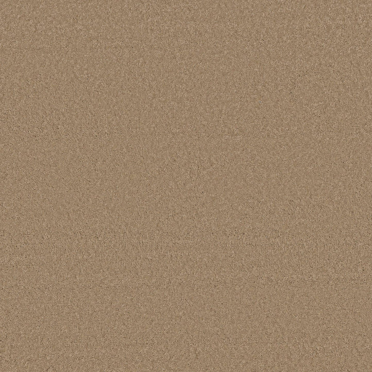 TEXTURE BCF