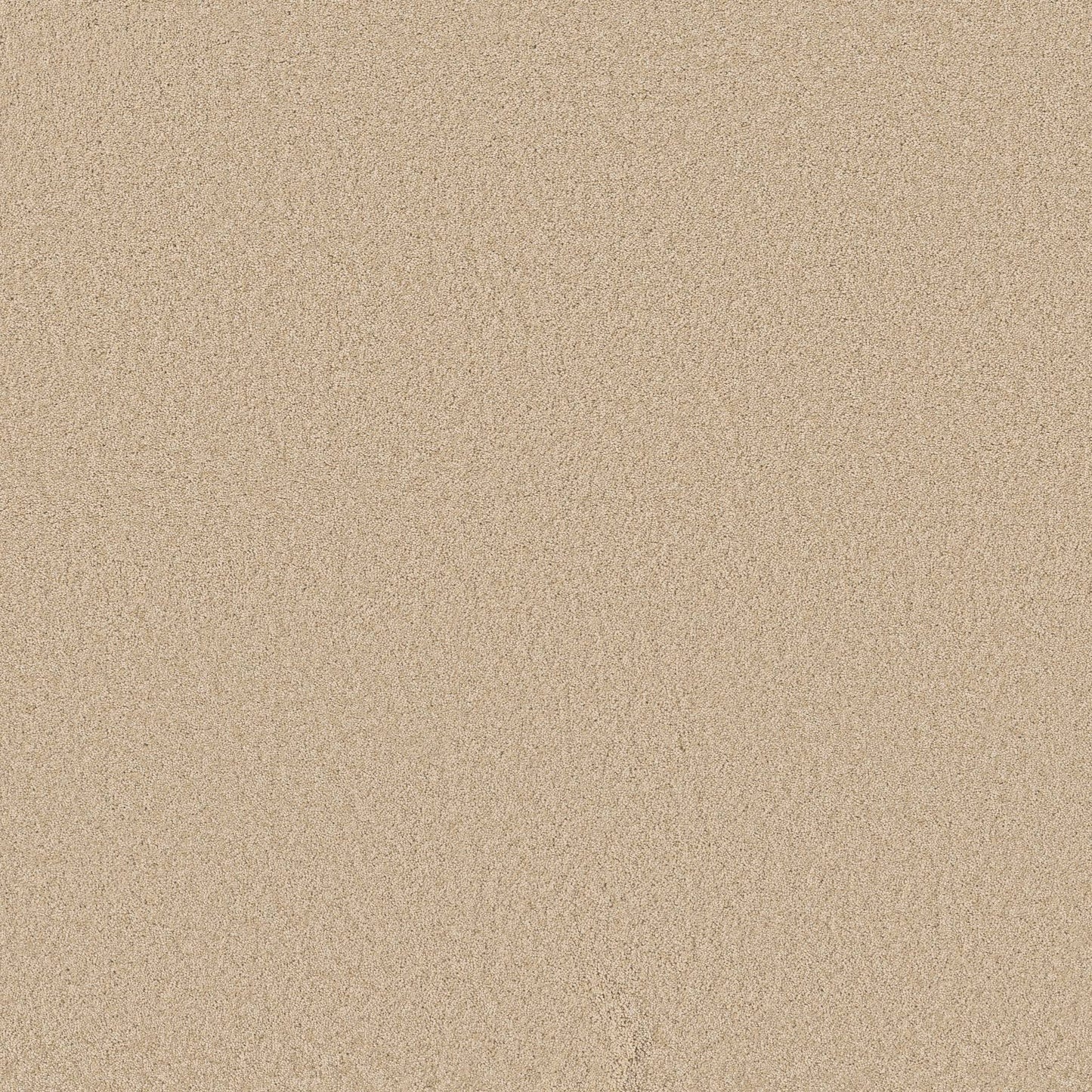 TEXTURE BCF