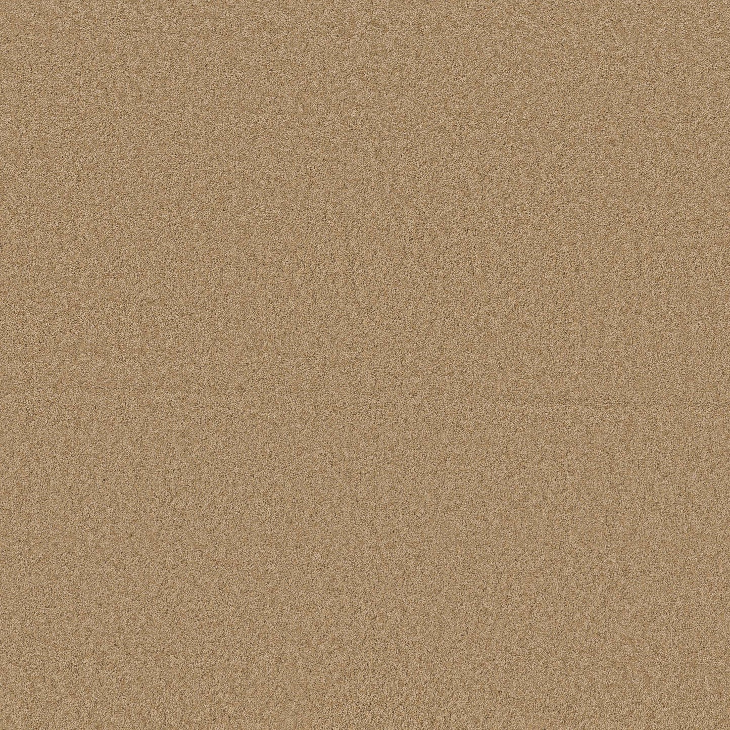 TEXTURE BCF