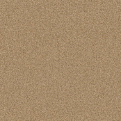 TEXTURE BCF