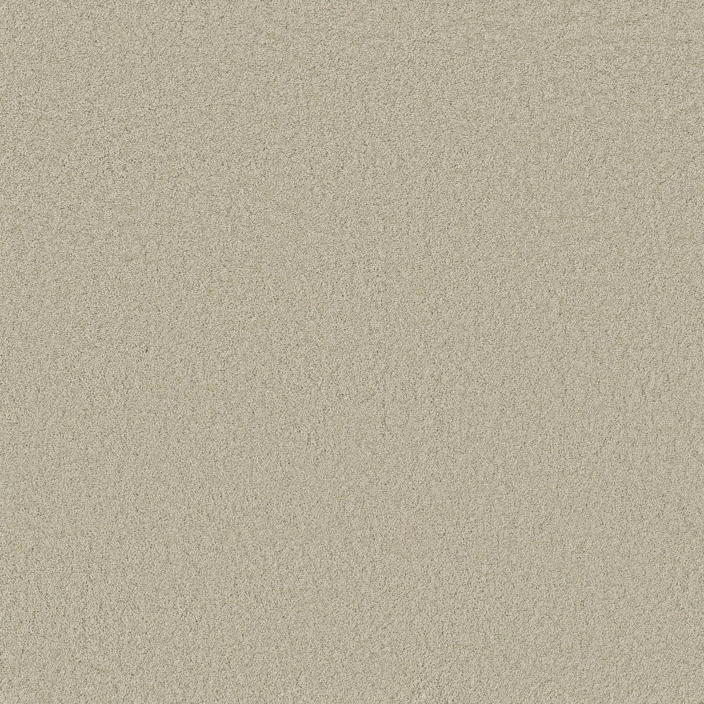 TEXTURE BCF