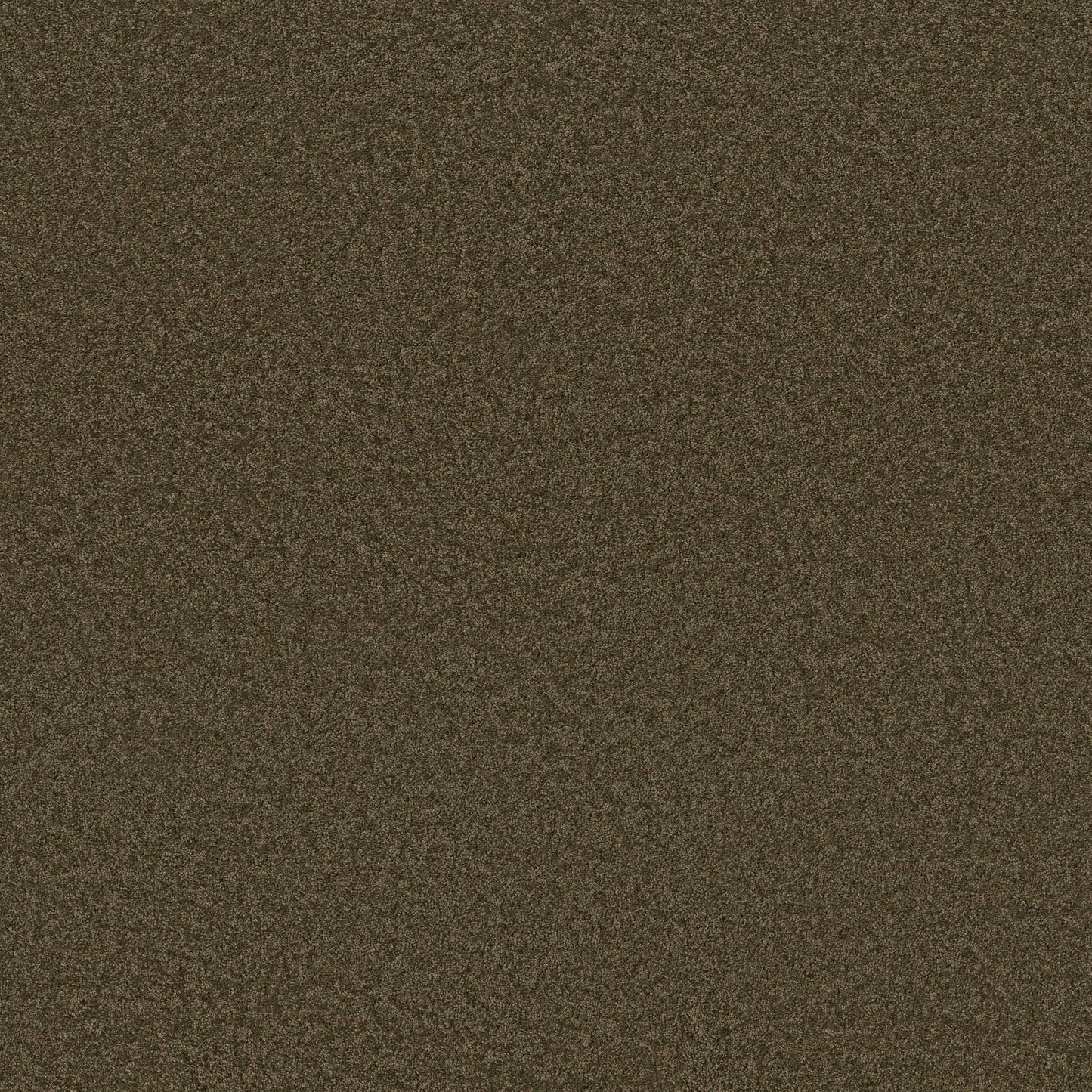 TEXTURE BCF