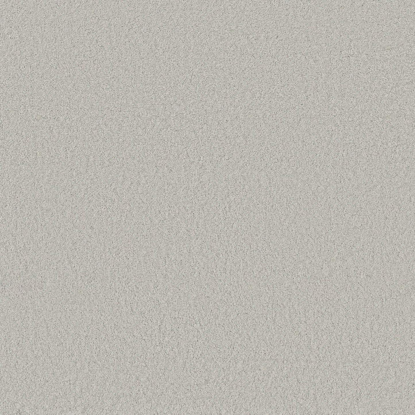 TEXTURE BCF