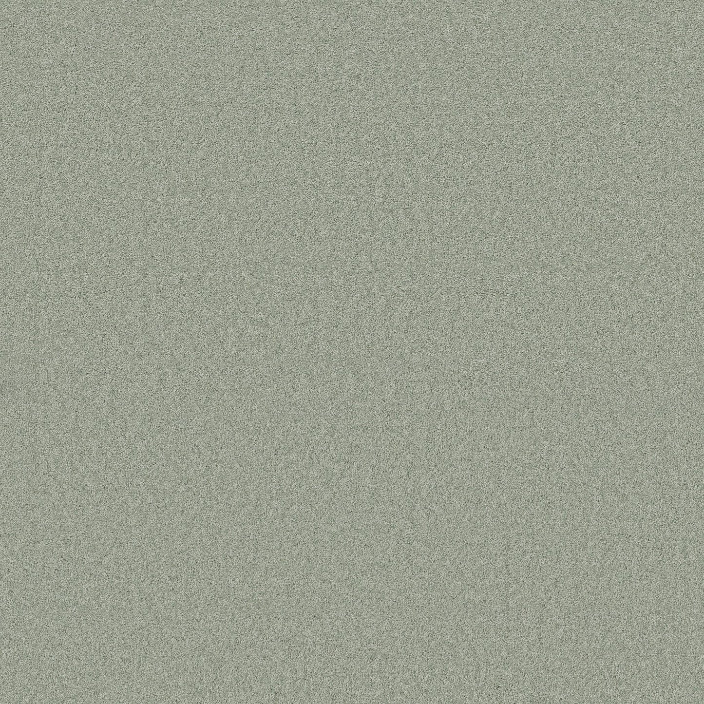 TEXTURE BCF