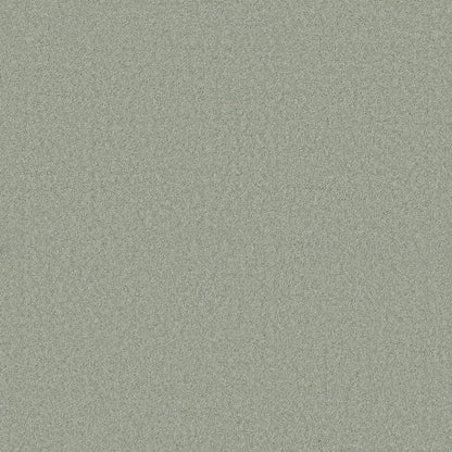TEXTURE BCF