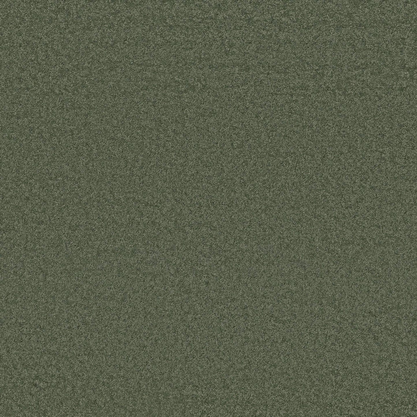 TEXTURE BCF