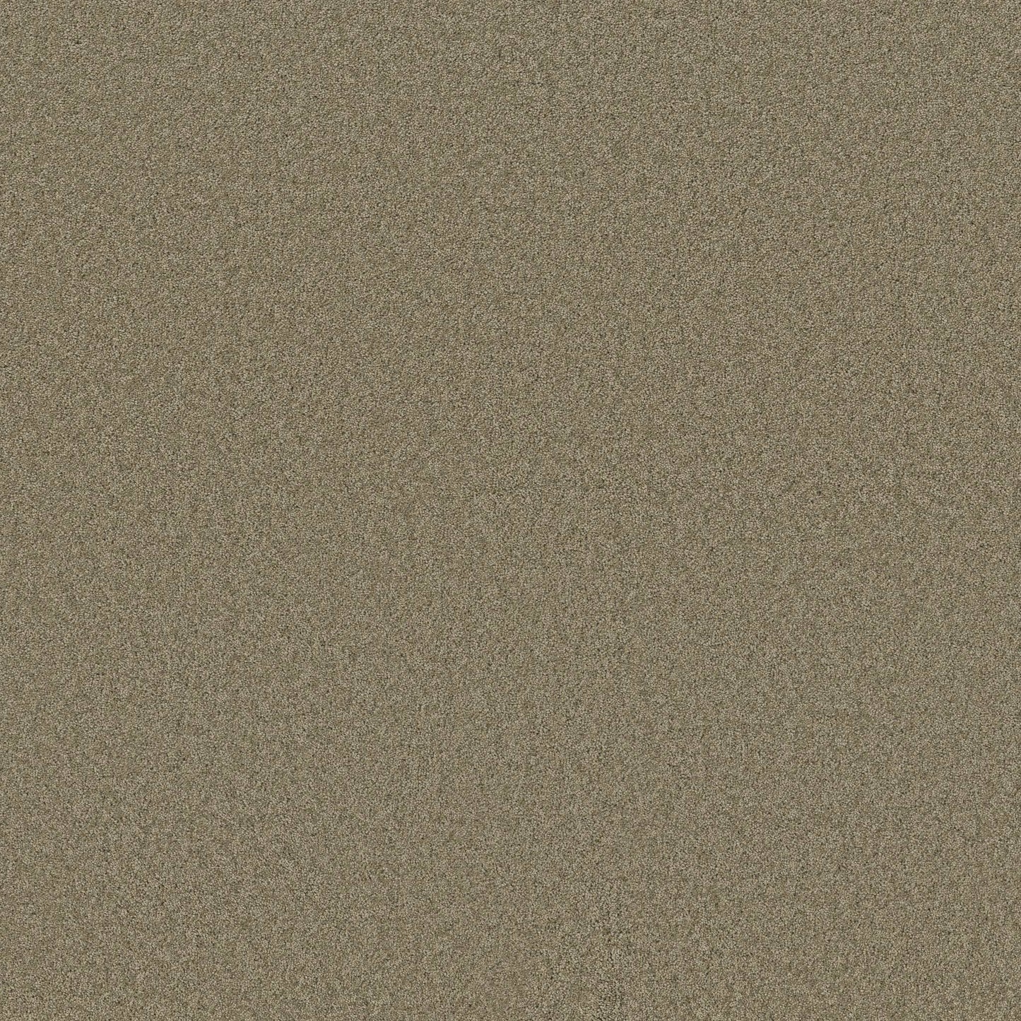 TEXTURE BCF