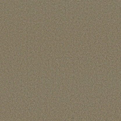 TEXTURE BCF