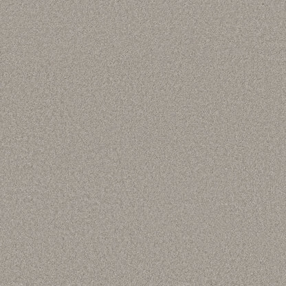 TEXTURE BCF